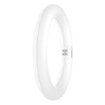Osram LED Lysrør T9 Rundt (EM/Mains) 11W 1320lm - 840 Kold Hvid | Erstatter 22W
