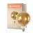 Ledvance Smart+ Wifi E27 G125 8W 600lm - 822-850 Justerbar Hvid | Dæmpbar - Erstatter 60W