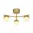 Nordlux Contina Loftlampe Metal Messing | Egnet til 3x G9