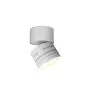 Ansell LED downlight Reef Matt Hvid 5W 486lm 90D - 830-840-860 CCT | 85mm - IP65 - Vipbar - Udendørs