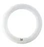 Osram T9 Lumilux Circline 32W - 840 kold hvid | 30cm