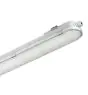 Philips LED Vandtæt Lysrender CoreLine WT120C G2 61W 8000lm - 840 Kold Hvid | 150cm - Dali Dæmpbar 