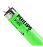 Philips MASTER TL-D 36W - Grøn | 120cm