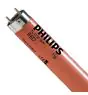 Philips MASTER TL-D 36W - Rød | 120cm