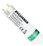 Sylvania Blacklight BL368 T8 Toughcoat 36W - 368 UV