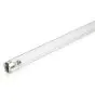 Philips T8 UV - C 25W - ultraviolet | 44cm