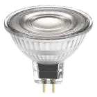 Ledvance Performance LED spot Reflektor GU5.3 MR16 5W 345lm 36D - 940 kold hvid | bedste farvegengivelse - dæmpbar - erstatter 35W