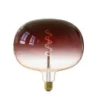 Calex Boden Marron LED E27 Filament 5W 130lm - 818 Ekstra Varm Hvid | Dæmpbar