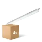 Fordelspakke 4x Philips LED Vandtæt Lysrender CoreLine WT120C Gen2 25/43W 3700/6000lm - 840 Kold Hvid | 150cm