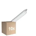 Fordelspakke 10x Philips LED Vandtæt Lysrender CoreLine WT120C G3 13W 2000lm - 840 Kold Hvid | 60cm - Erstatter 2x18W