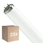 Fordelspakke 25x Philips T8 Flexo print 40W | 60cm - UVA