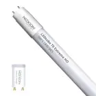 Noxion LED Lysrør T8 Avant Extreme (EM/Mains) High Output 8.2W 1150lm - 865 Dagslys | 60cm - Erstatter 18W