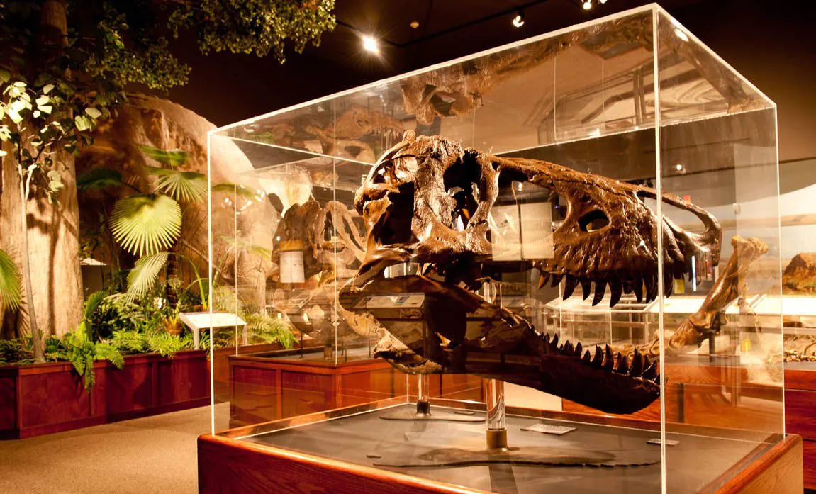 LED G53 pærer Museum